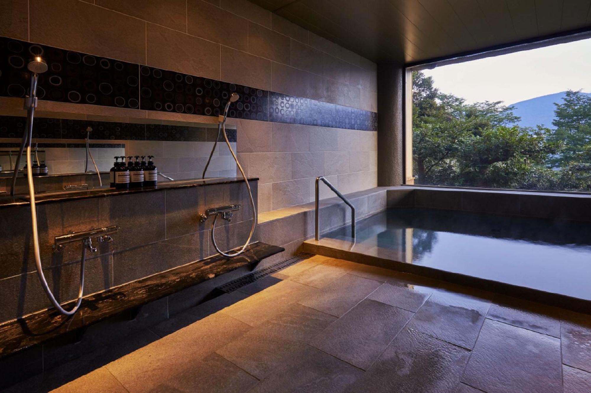 Hakone Elecasa Hotel And Spa Екстер'єр фото